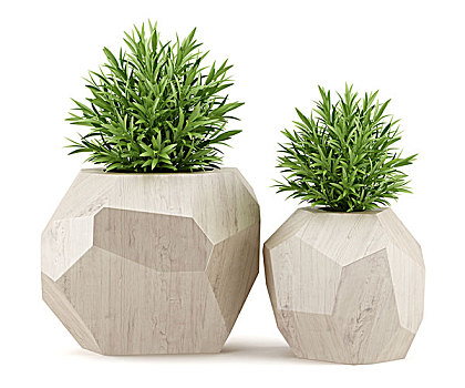 定时器回归Google搜索 新增语音启动渠道